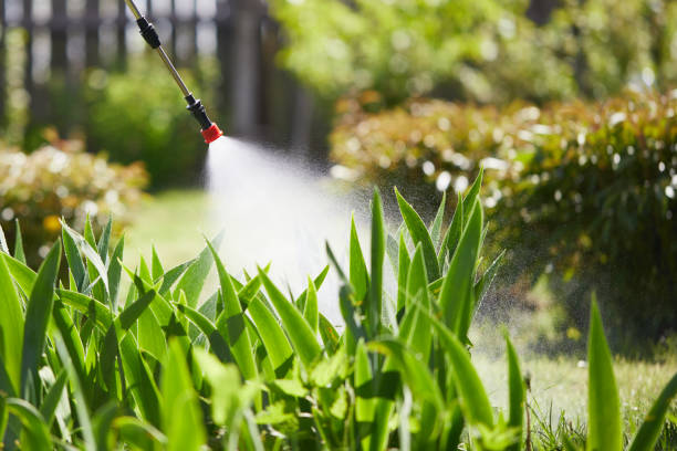 24/7 Emergency Wasp Removal experts in Avon, MN