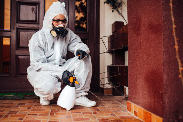 Reliable Wasp Removal contractor in Avon, MN by Show Me Pest Control
